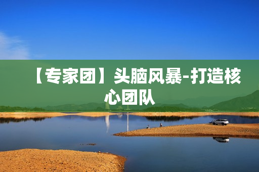 【专家团】头脑风暴-打造核心团队