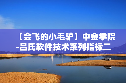 【会飞的小毛驴】中金学院-吕氏软件技术系列指标二