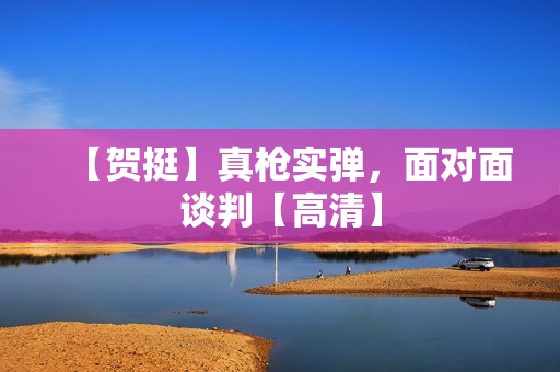 【贺挺】真枪实弹，面对面谈判【高清】