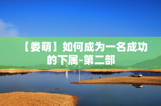 【娄萌】如何成为一名成功的下属-第二部