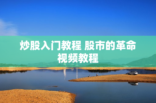 炒股入门教程 股市的革命视频教程