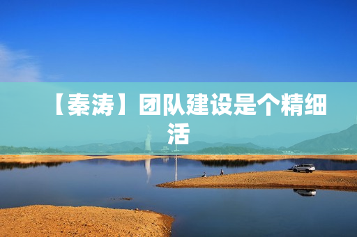【秦涛】团队建设是个精细活