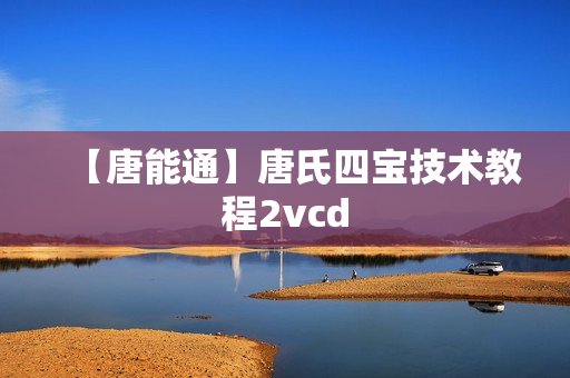 【唐能通】唐氏四宝技术教程2vcd
