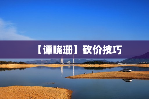 【谭晓珊】砍价技巧
