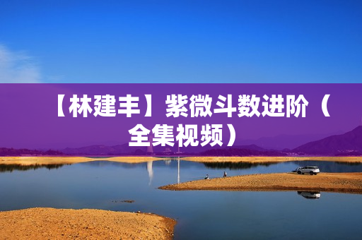 【林建丰】紫微斗数进阶（全集视频）