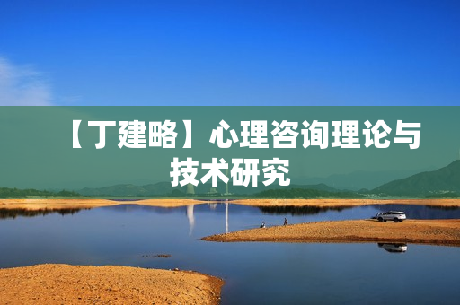 【丁建略】心理咨询理论与技术研究