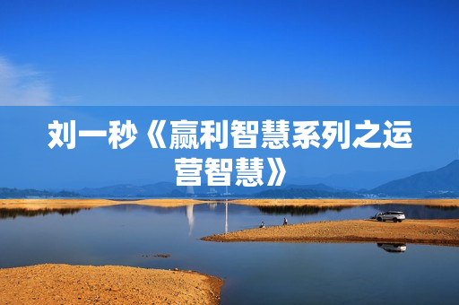 刘一秒《赢利智慧系列之运营智慧》