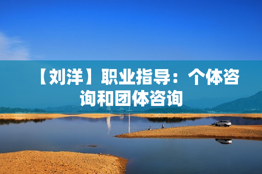 【刘洋】职业指导：个体咨询和团体咨询