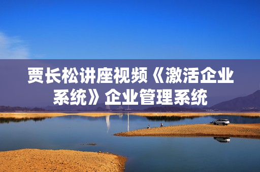 贾长松讲座视频《激活企业系统》企业管理系统