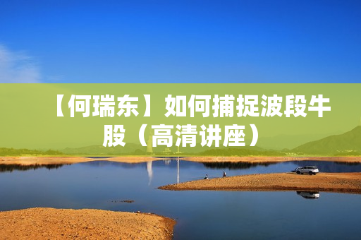 【何瑞东】如何捕捉波段牛股（高清讲座）