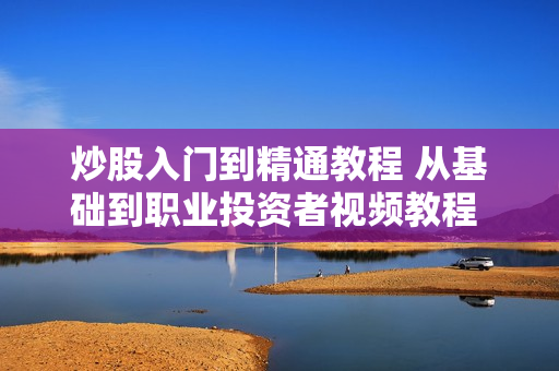 炒股入门到精通教程 从基础到职业投资者视频教程 股票炒股必备
