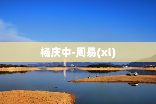杨庆中-周易(xl)