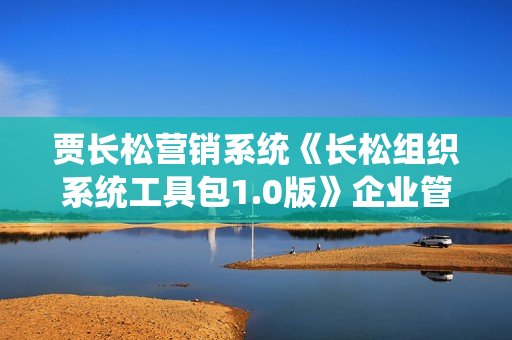 贾长松营销系统《长松组织系统工具包1.0版》企业管理培训课程