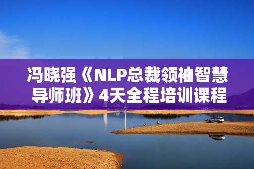 冯晓强《NLP总裁领袖智慧 导师班》4天全程培训课程录音