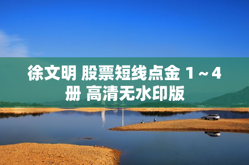徐文明 股票短线点金 1～4册 高清无水印版