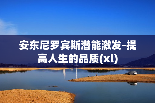 安东尼罗宾斯潜能激发-提高人生的品质(xl)