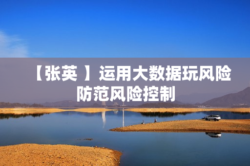 【张英 】运用大数据玩风险防范风险控制