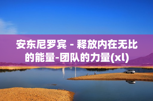 安东尼罗宾－释放内在无比的能量-团队的力量(xl)