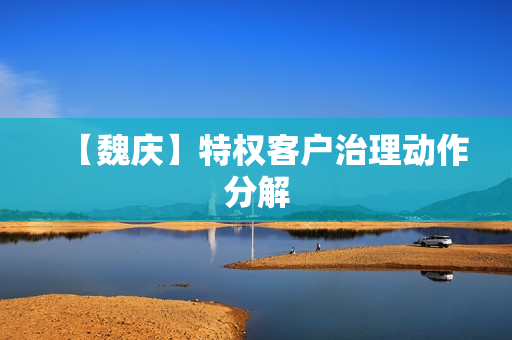 【魏庆】特权客户治理动作分解  第1张