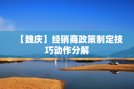【魏庆】经销商政策制定技巧动作分解