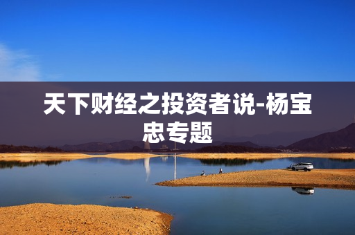 天下财经之投资者说-杨宝忠专题