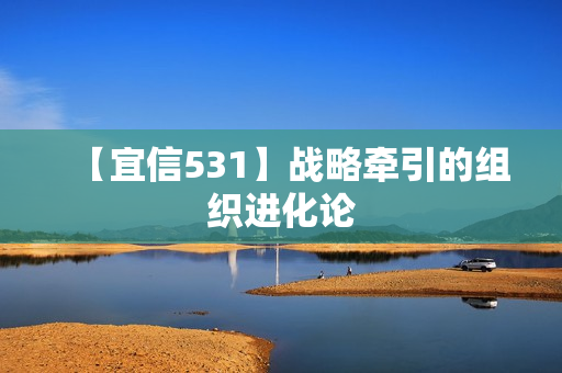【宜信531】战略牵引的组织进化论