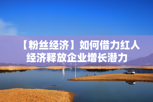 【粉丝经济】如何借力红人经济释放企业增长潜力