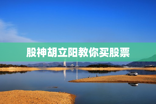 股神胡立阳教你买股票