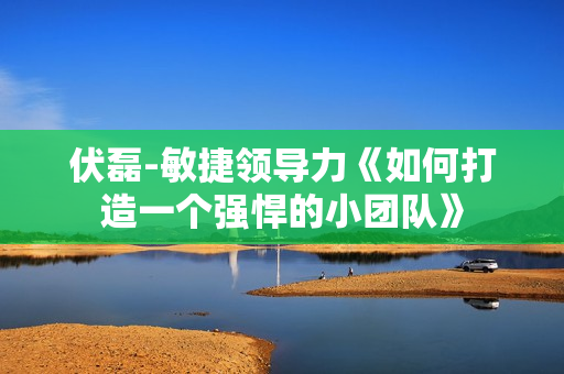 伏磊-敏捷领导力《如何打造一个强悍的小团队》