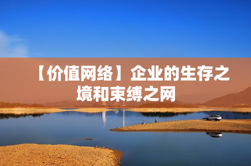 【价值网络】企业的生存之境和束缚之网