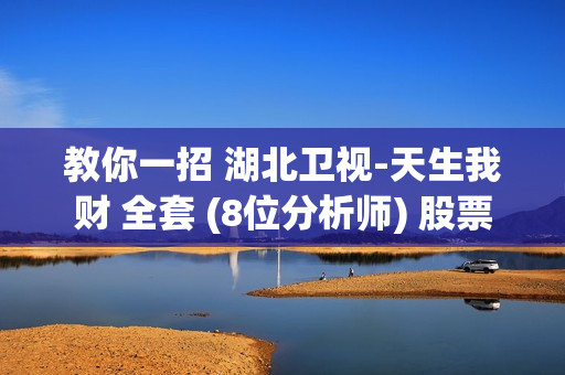 教你一招 湖北卫视-天生我财 全套 (8位分析师) 股票