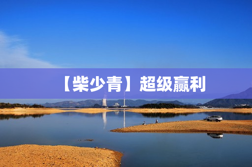 【柴少青】超级赢利  第1张