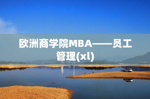 欧洲商学院MBA——员工管理(xl)