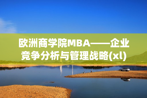 欧洲商学院MBA——企业竞争分析与管理战略(xl)