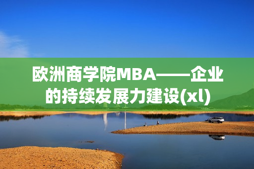 欧洲商学院MBA——企业的持续发展力建设(xl)