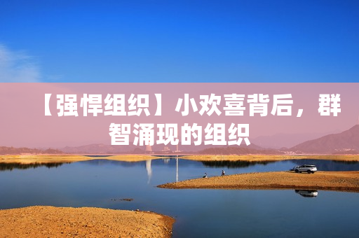 【强悍组织】小欢喜背后，群智涌现的组织