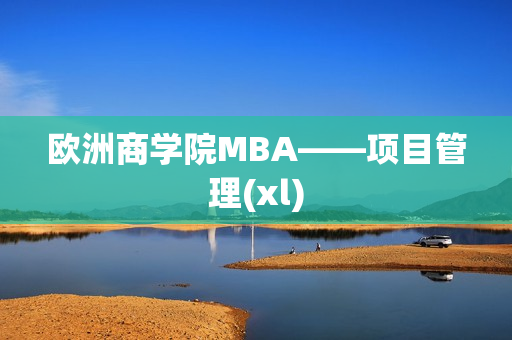 欧洲商学院MBA——项目管理(xl)