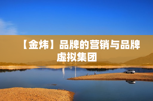 【金炜】品牌的营销与品牌虚拟集团