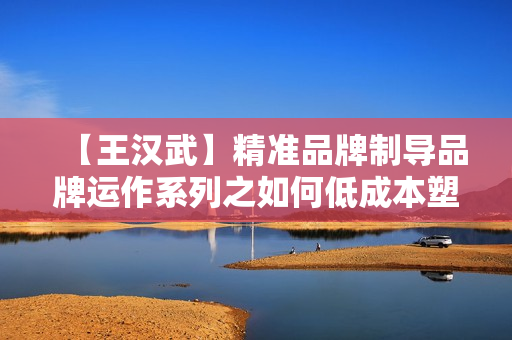 【王汉武】精准品牌制导品牌运作系列之如何低成本塑造知名品牌