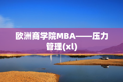 欧洲商学院MBA——压力管理(xl)