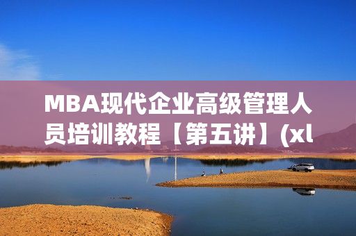 MBA现代企业高级管理人员培训教程【第五讲】(xl)