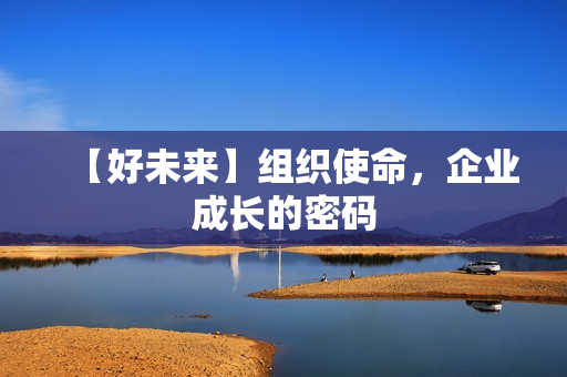 【好未来】组织使命，企业成长的密码