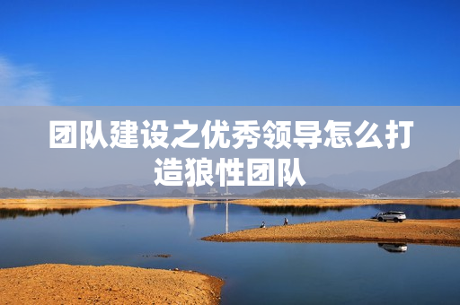 团队建设之优秀领导怎么打造狼性团队