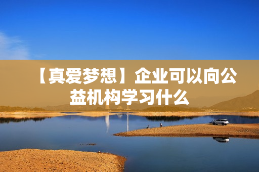 【真爱梦想】企业可以向公益机构学习什么