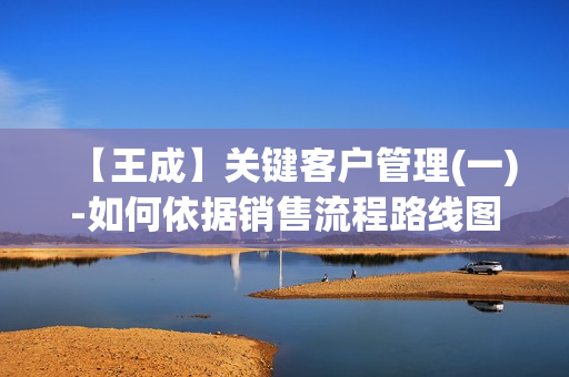 【王成】关键客户管理(一)-如何依据销售流程路线图做客户价值开发【高清】