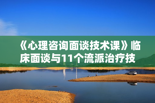 《心理咨询面谈技术课》临床面谈与11个流派治疗技术