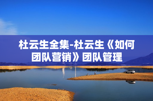 杜云生全集-杜云生《如何团队营销》团队管理