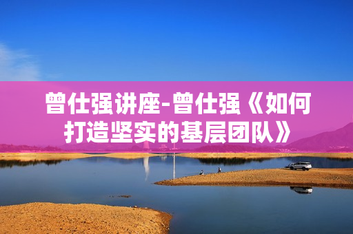 曾仕强讲座-曾仕强《如何打造坚实的基层团队》