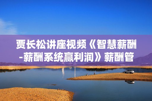 贾长松讲座视频《智慧薪酬-薪酬系统赢利润》薪酬管理系统