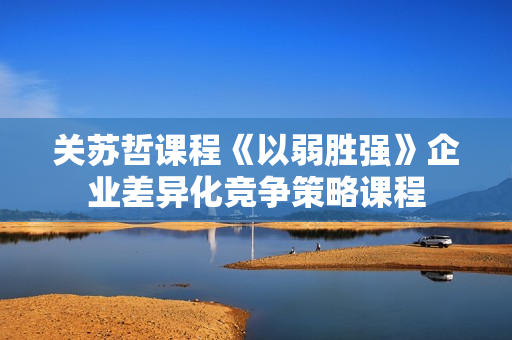 关苏哲课程《以弱胜强》企业差异化竞争策略课程